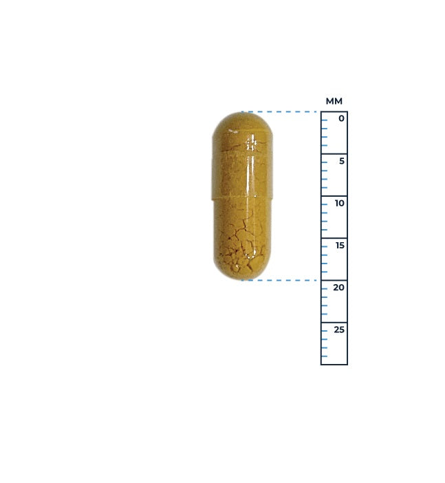 Lever Support - 60 capsules