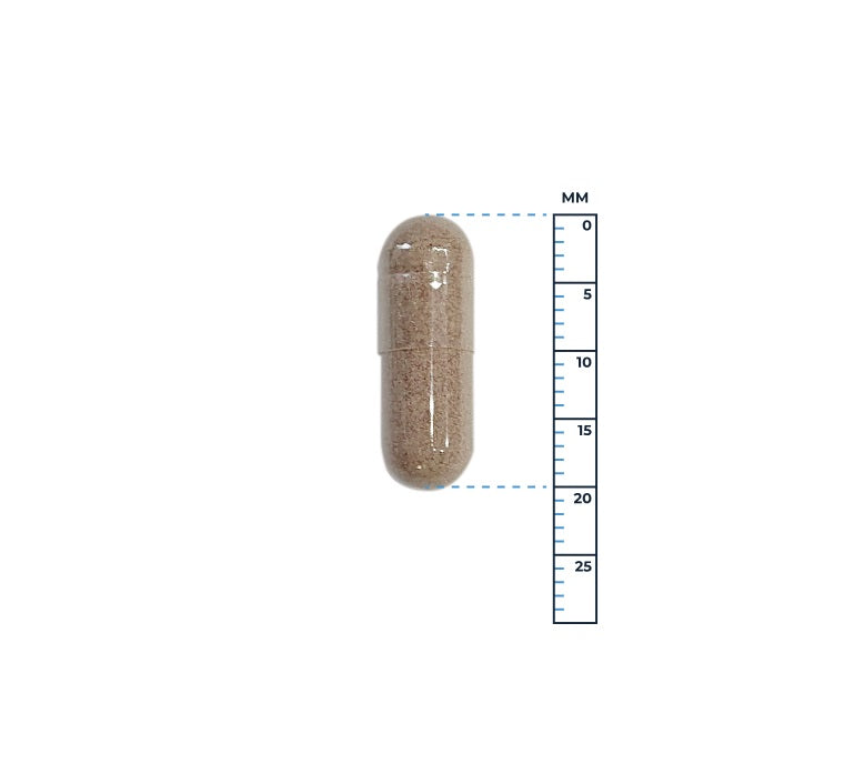 Capsulegrootte 
