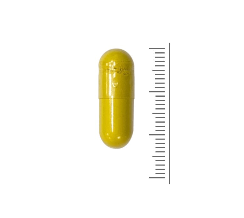 Berberine Rebersa® - 60 capsules